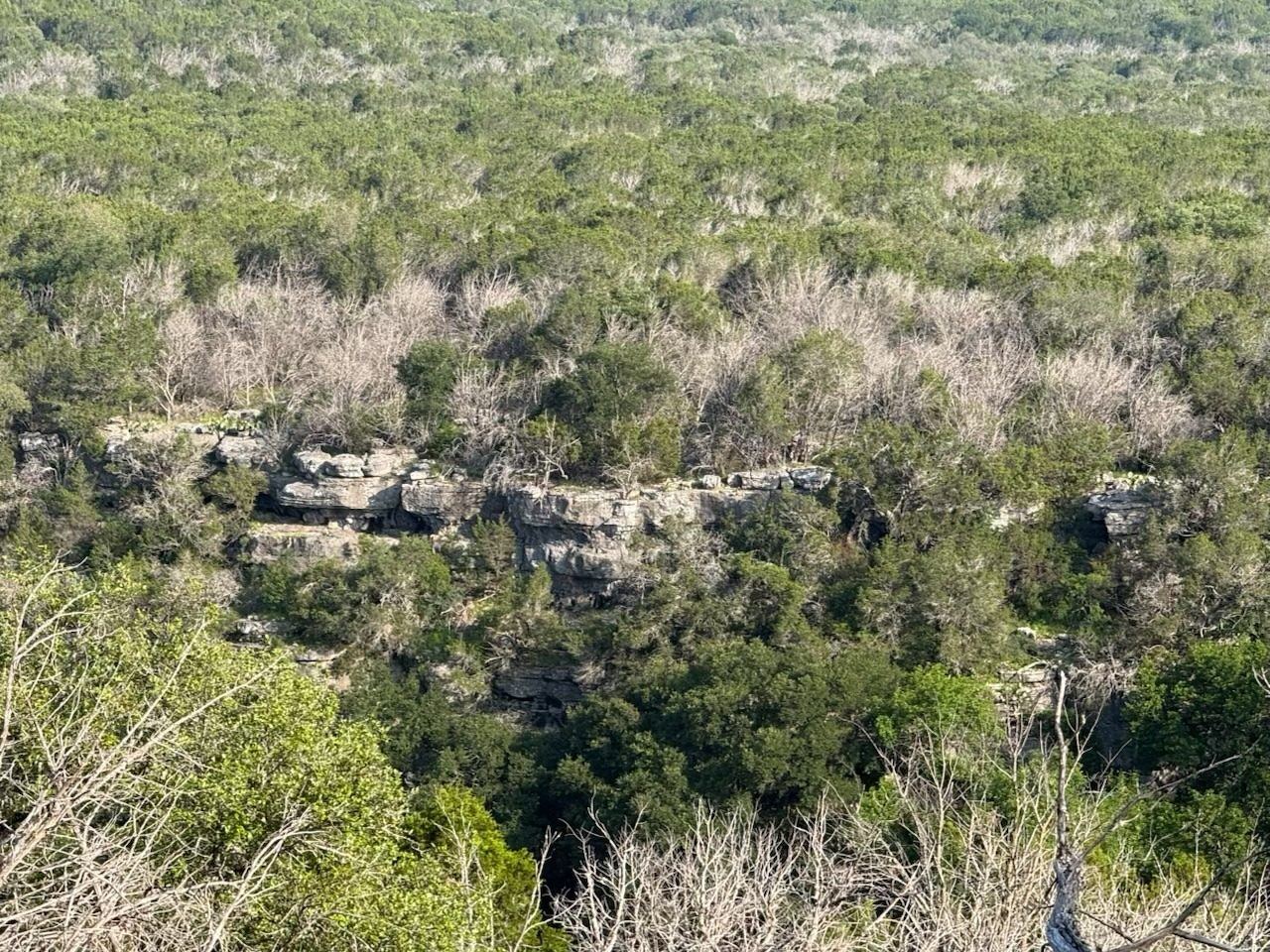 Scenic Texas hunt country