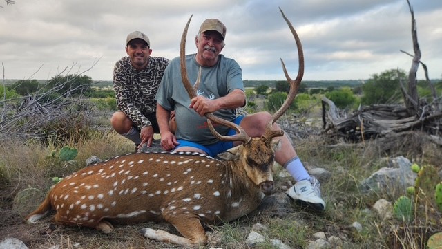 Free range axis hunt