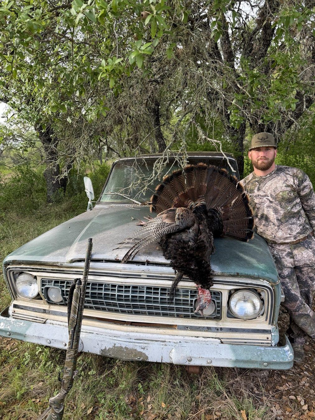 Turkey harvest