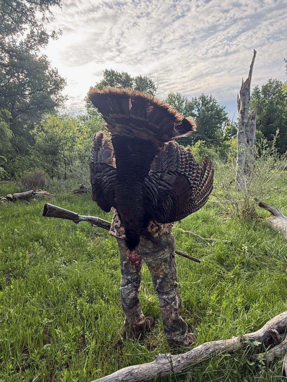 Guest with turkey