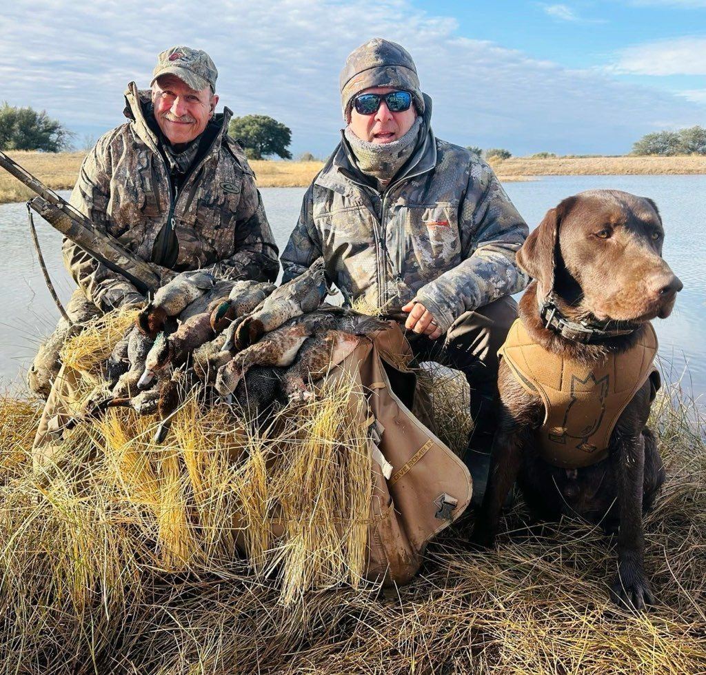 Duck hunt with dog