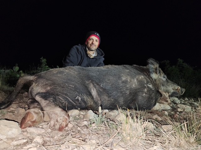 Large hog hunt