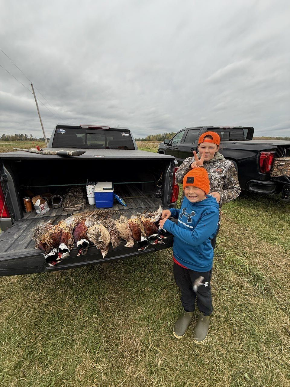 Upland bird hunt
