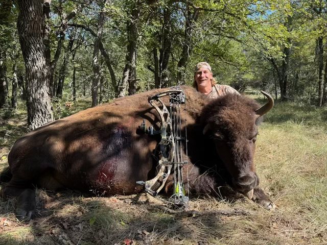 Buffalo hunt